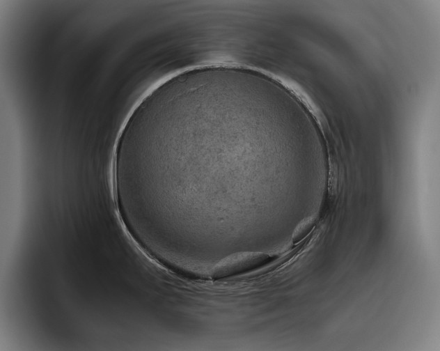 X0000093511295200710121525