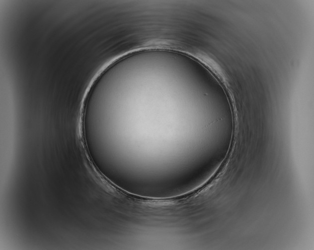 X0000093511296200710121525