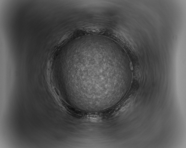 X0000093511297200710121524