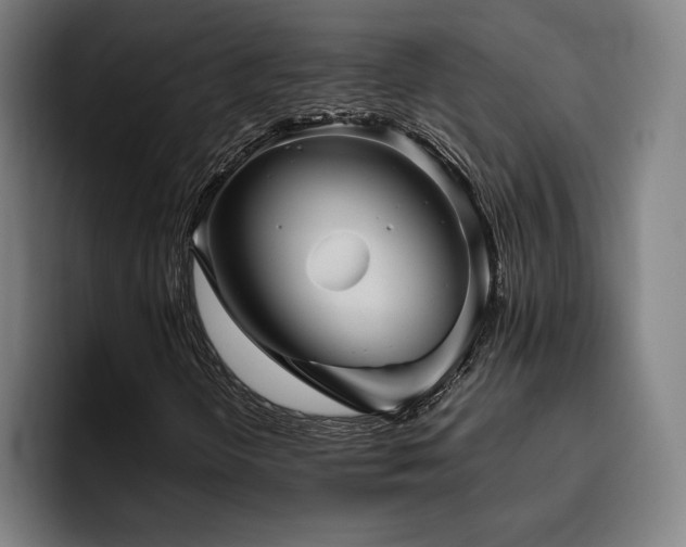 X0000093511298200710121524