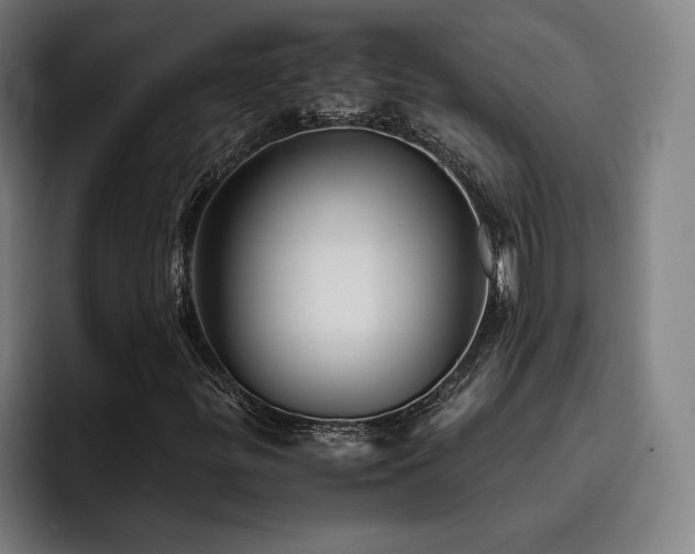 X0000093511299200710121524