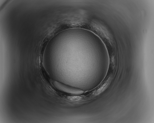 X0000093511300200710121524