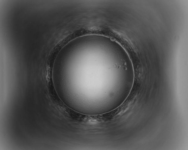 X0000093511301200710121524
