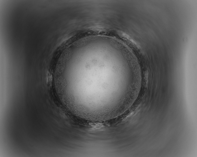 X0000093511302200710121524