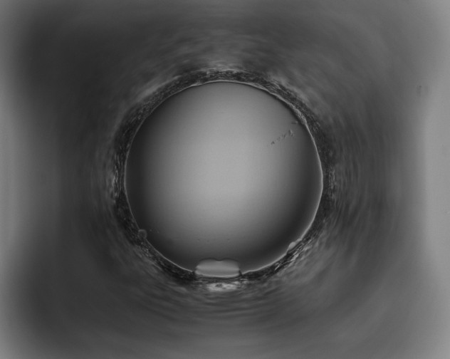 X0000093511303200710121524
