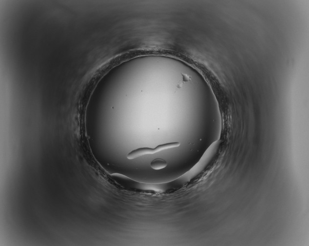 X0000093511304200710121524