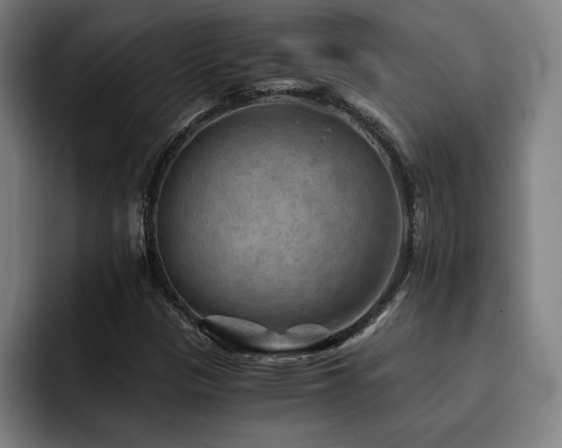 X0000093511305200710121524