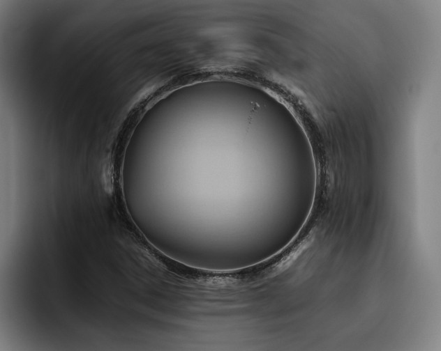 X0000093511306200710121524