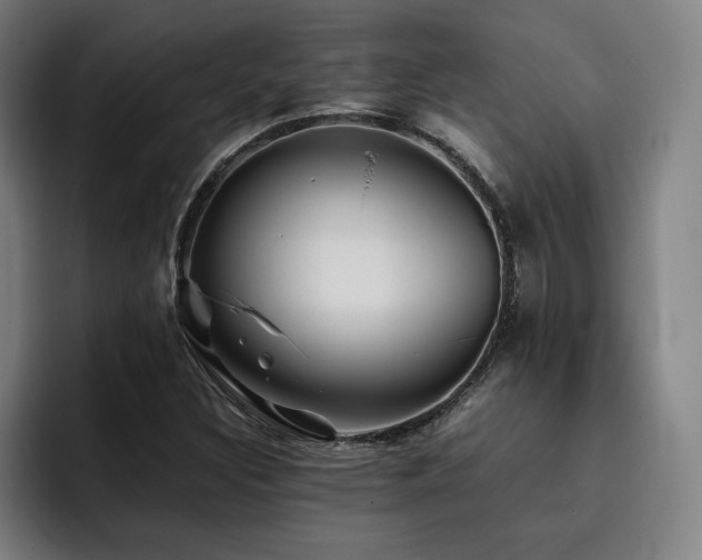 X0000093511308200710121524