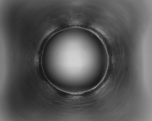 X0000093511309200710121524