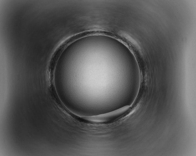 X0000093511310200710121524