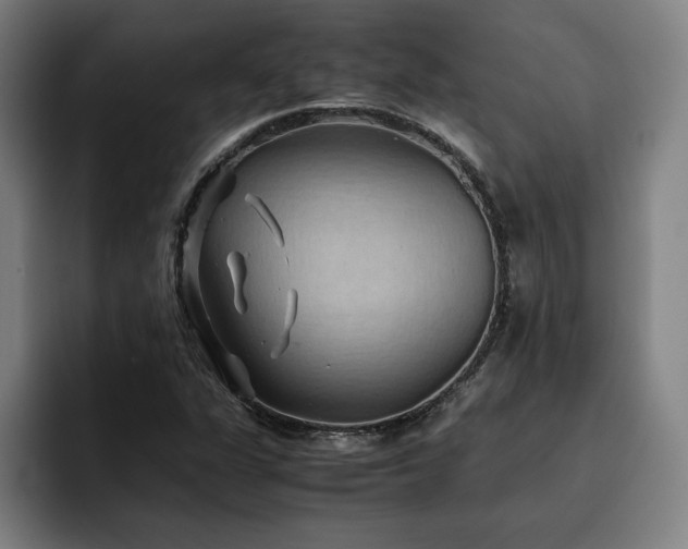X0000093511311200710121524
