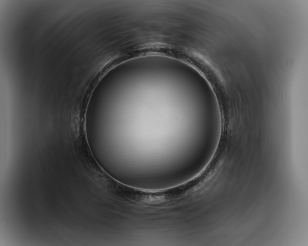 X0000093511313200710121524