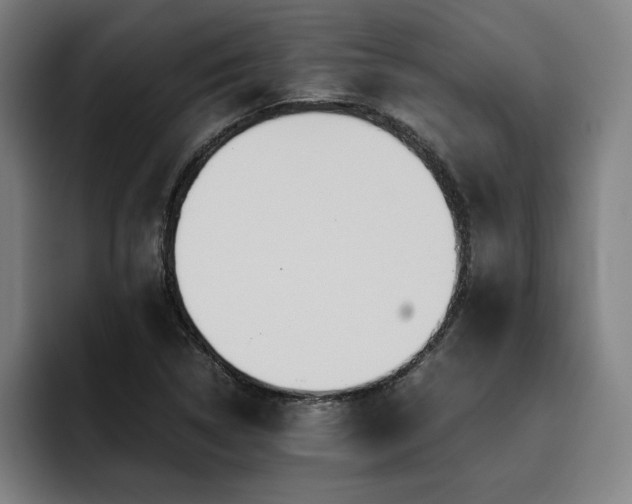 X0000093511314200710121524