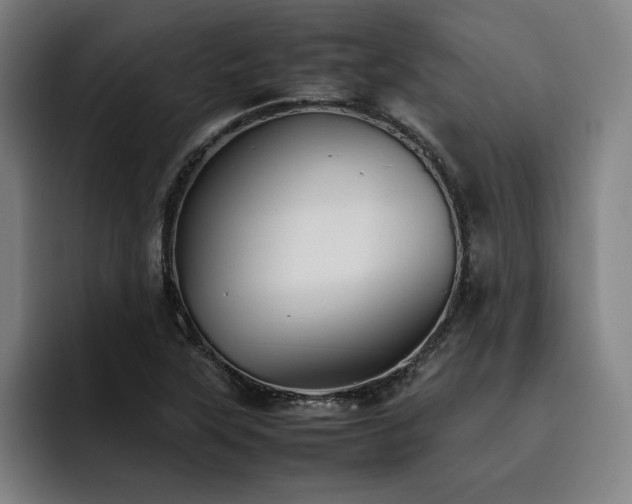 X0000093511315200710121524
