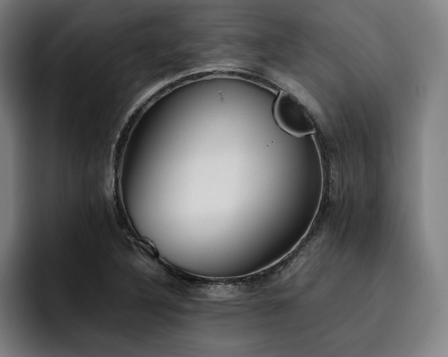 X0000093511316200710121524