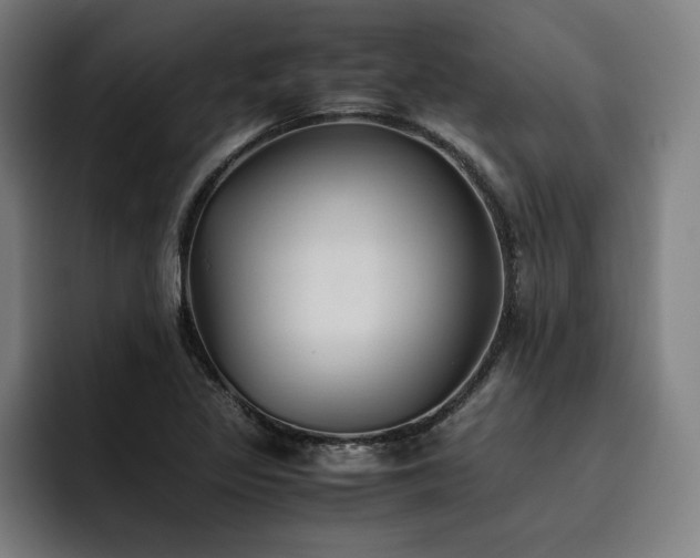 X0000093511317200710121524
