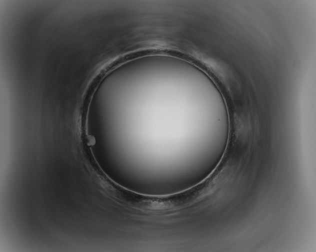 X0000093511318200710121524