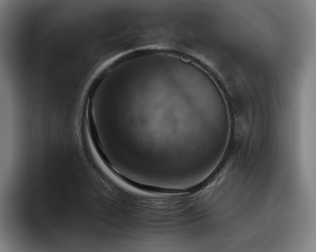X0000093511319200710121524