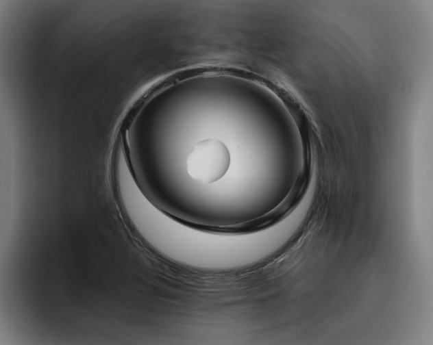 X0000093511320200710121524