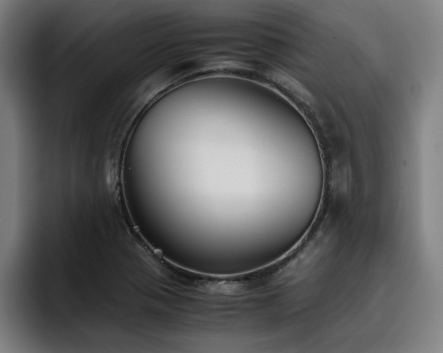 X0000093511321200710121524