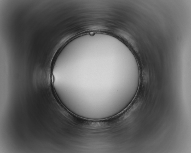 X0000093511322200710121524