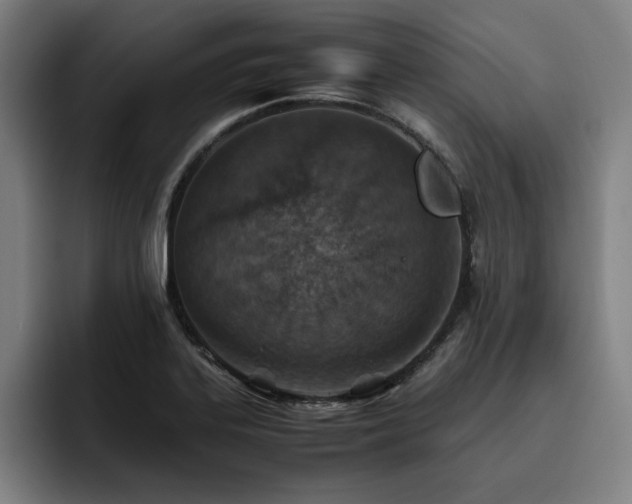 X0000093511323200710121524