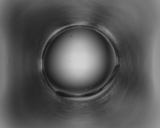 X0000093511324200710121524