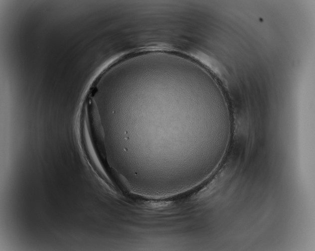 X0000093511325200710121524