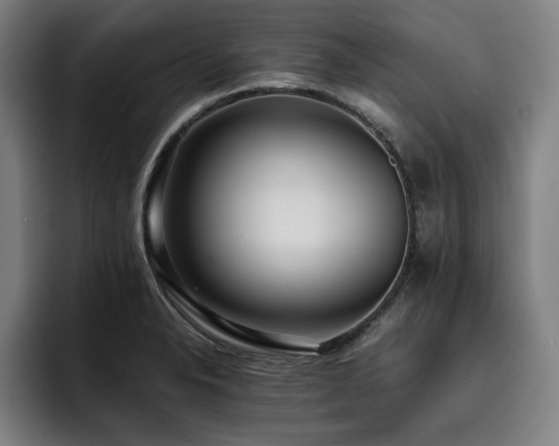 X0000093511326200710121524