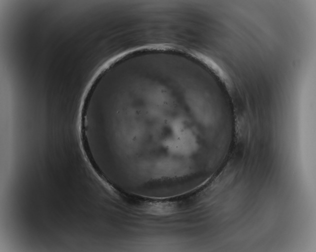X0000093511327200710121524