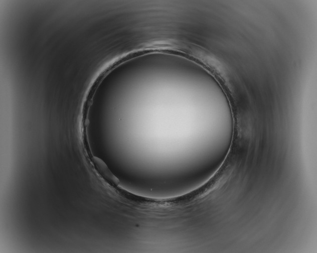 X0000093511328200710121524