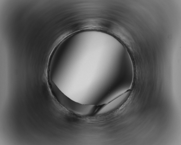 X0000093511330200710121524