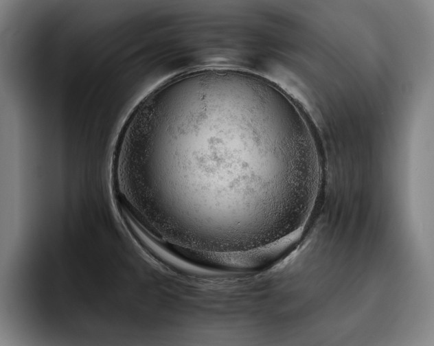 X0000093511333200710121524