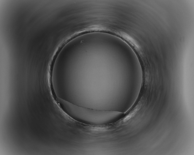 X0000093511334200710121524