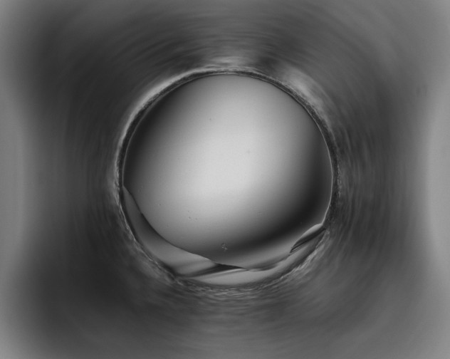 X0000093511336200710121525