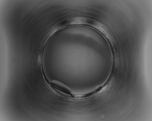 X0000093511337200710121525
