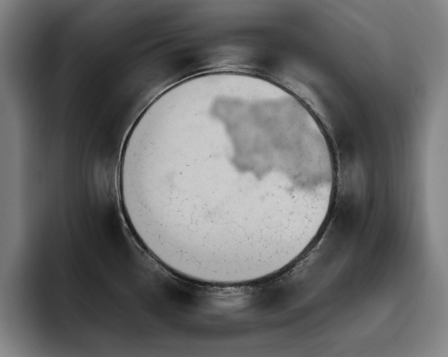 X0000093511338200710121525