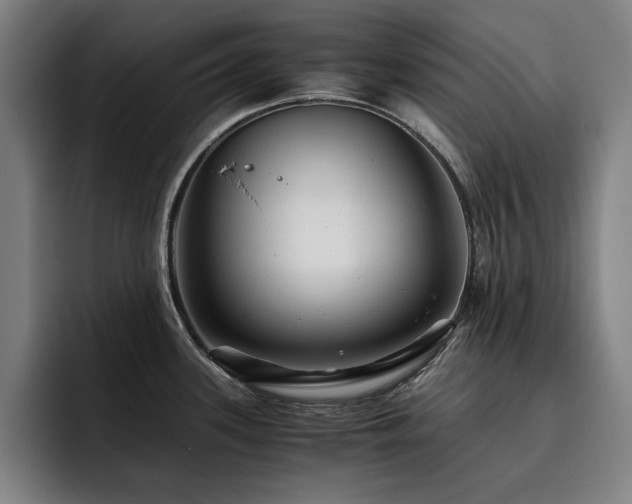 X0000093511339200710121525