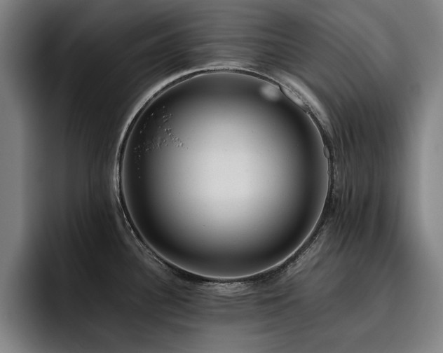 X0000093511340200710121525