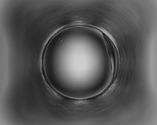 X0000093511341200710121525