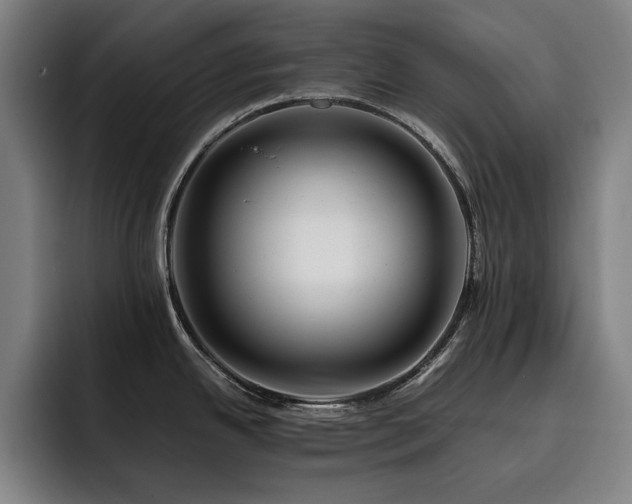 X0000093511342200710121525