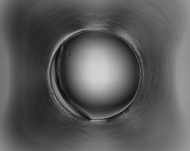 X0000093511344200710121525
