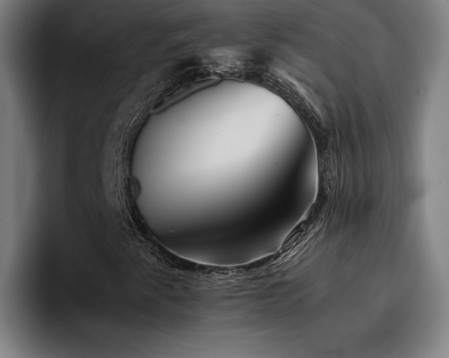 X0000093511345200710121524