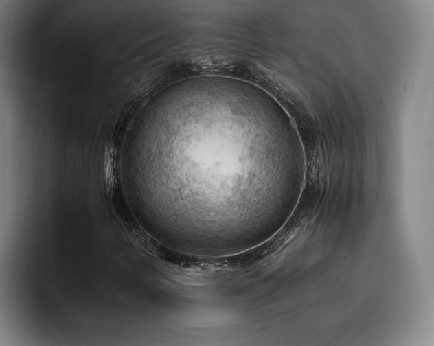 X0000093511346200710121524