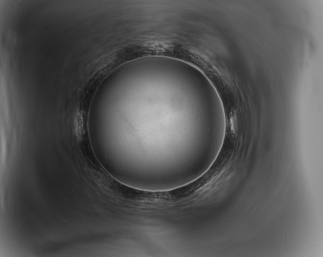 X0000093511347200710121524