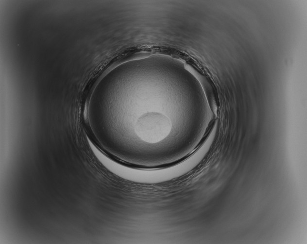 X0000093511348200710121524
