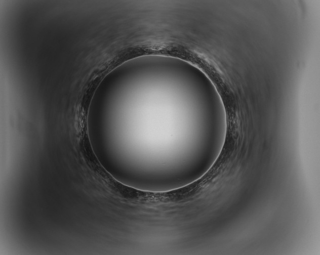 X0000093511349200710121524