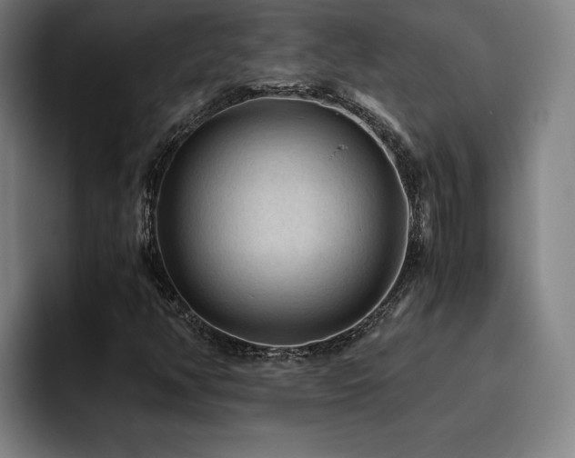 X0000093511350200710121524