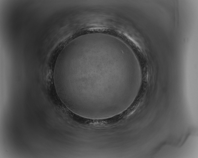 X0000093511351200710121524